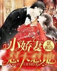 《小娇妻怼天怼地怼霸总》小说封面