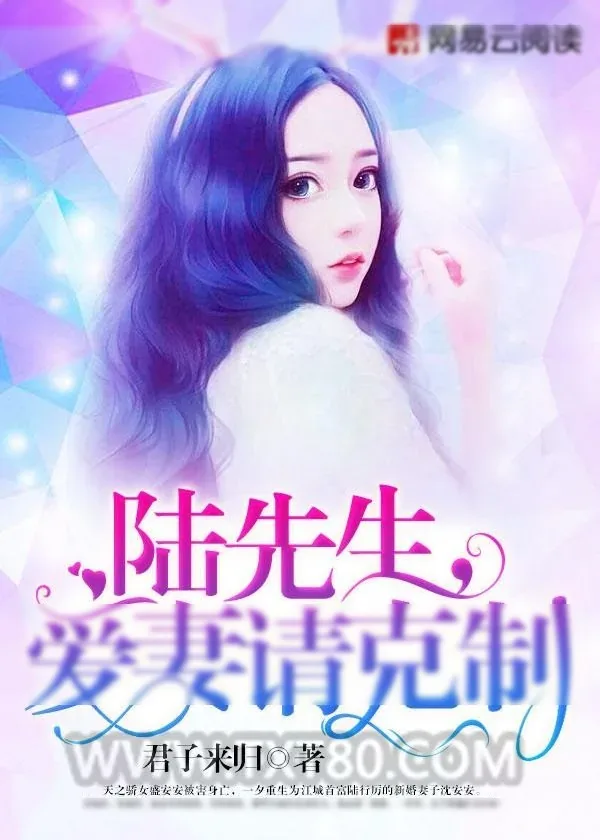 《陆先生，爱妻请克制》小说封面