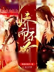 《娇而不娇》小说封面
