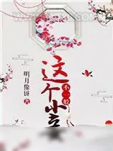 《这个小妾不一般》小说封面