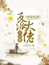《快穿系统：反派大佬不好惹》小说封面