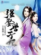 《宠妻无度之强娶世子妃》小说封面