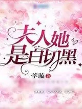 《夫人她是白切黑》小说封面