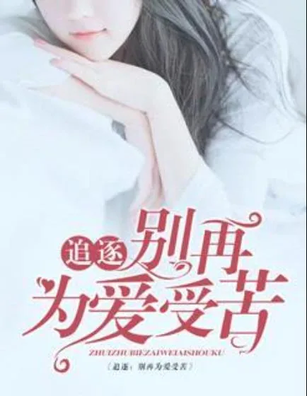 《追逐，别再为爱受苦》小说封面