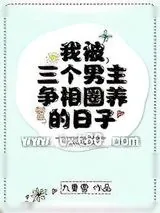 《我被三个男主攻略的日子》小说封面
