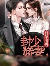 《封少娇妻，有孕出逃唐柒柒封晏》小说封面