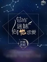 《总有迷妹向他求爱》小说封面