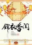 《锦衣香闺》小说封面