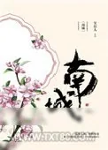 《南城》小说封面