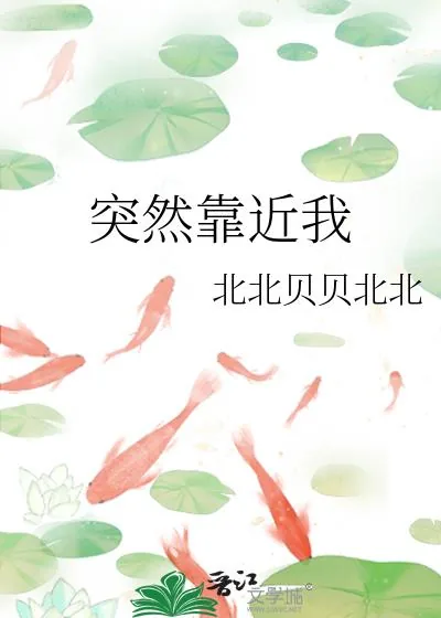 《突然靠近我》小说封面