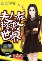 《夫人在拯救世界》小说封面