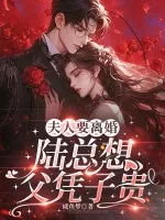《夫人要离婚,陆总想父凭子贵》小说封面