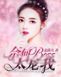 《奈何BOSS太宠我》小说封面
