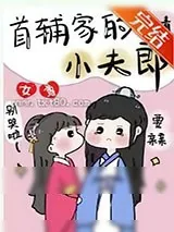 《首辅家的小夫郎[女尊]》小说封面