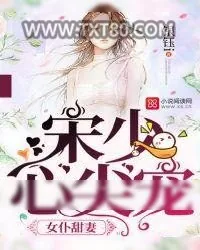 《女仆甜妻：宋少心尖宠》小说封面