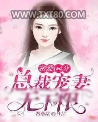 《密爱100分：总裁宠妻无下限》小说封面