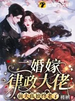 《二婚嫁律政大佬，前夫孤独终老了》小说封面