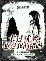 《太过优秀也是我的错吗》小说封面