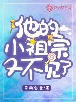 《他的小祖宗又不见了》小说封面