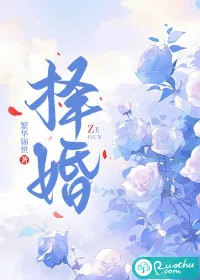 《择婚》小说封面