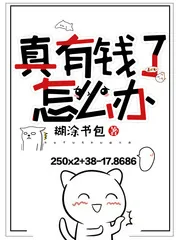 《真有钱了怎么办》小说封面