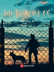 《神卡大时代》小说封面