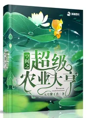 《空间之超级农业大亨》小说封面