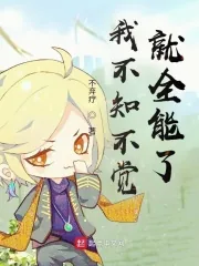 《我不知不觉就全能了》小说封面