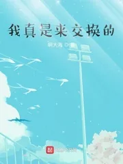 《我真是来交换的》小说封面
