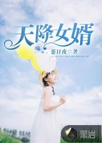 《天降女婿》小说封面