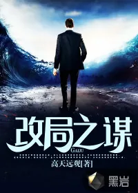 《改局之谋》小说封面