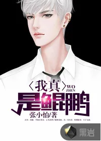 《我真是鲲鹏》小说封面