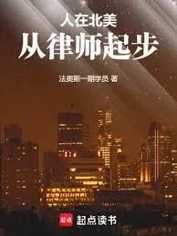 《人在北美，从律师起步》小说封面