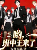 《哟，班中王来了》小说封面