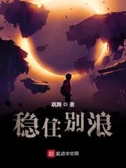 《稳住别浪》小说封面