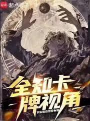 《全知卡牌视角》小说封面