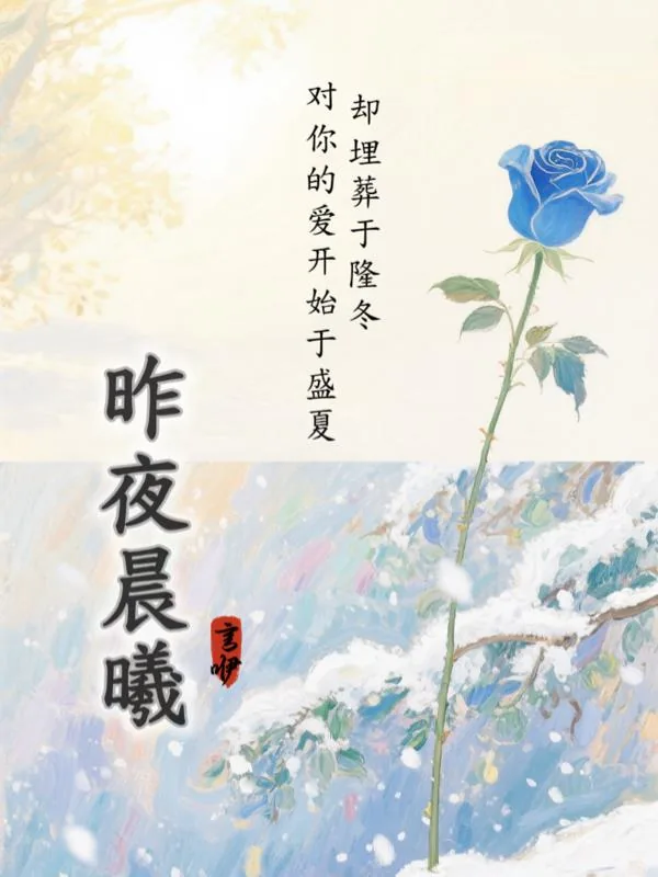 《昨夜晨曦》小说封面