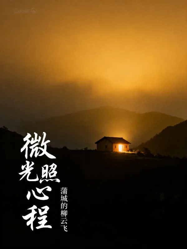 《微光照心程》小说封面