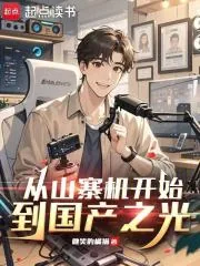 《从山寨机开始，到国产之光》小说封面