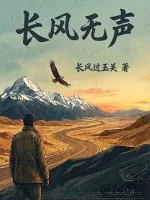 《长风无声》小说封面