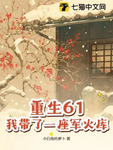 《重生61，我带了一座军火库》小说封面