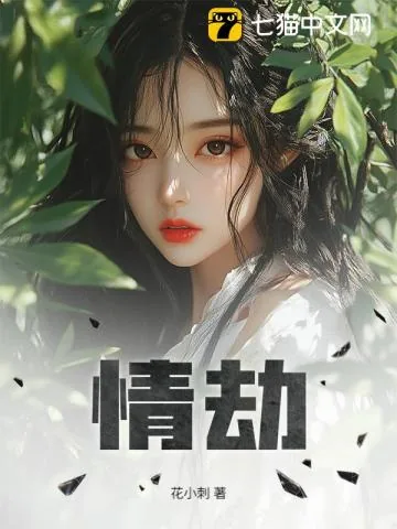 《情劫》小说封面