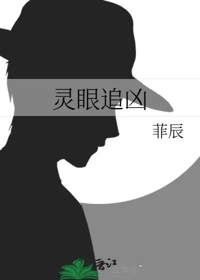 《灵眼追凶》小说封面