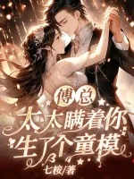《傅总，太太瞒着你生了个童模》小说封面