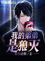 《我的弟弟是狼灭》小说封面