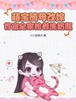 《萌宝随母改嫁，首富全家抢着洗奶瓶》小说封面