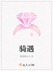 《骑遇》小说封面