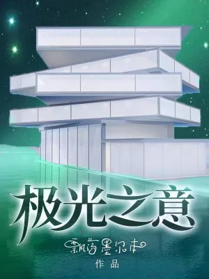 《极光之意》小说封面