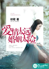 《爱情太远，婚姻太险》小说封面