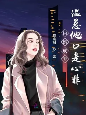 《闪婚成宠，温总他口是心非》小说封面